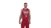 Vamos Liga Endesa Sticker by ACB