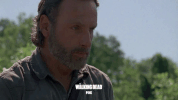 the walking dead fox GIF