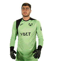 Golds Gym Goalkeeper Sticker by FC Pyunik