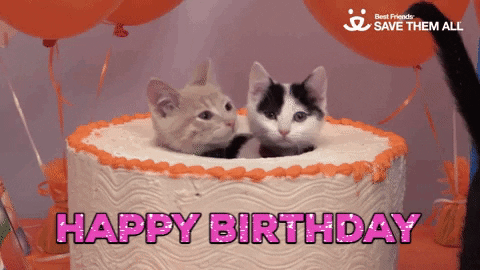 Video gif. Two kittens stick their heads out of a hollow birthday cake. Pink glittering letters spell out "Happy birthday."
