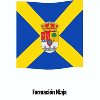 Castilla Y Leon Bandera GIF by Formación Ninja