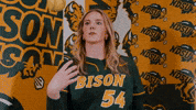 Softball GIF by NDSU Athletics