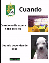 Club Leon GIF