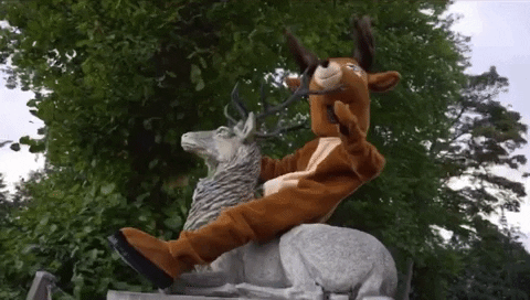 Collingwood Stag GIF