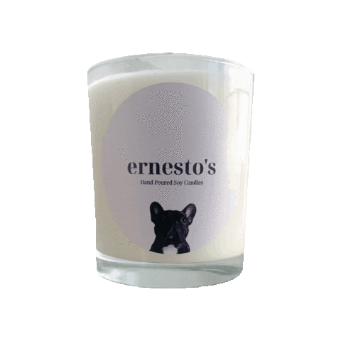ErnestosCandles giphygifmaker Sticker