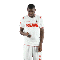 Fc Cologne Bundesliga Sticker by 1. FC Köln