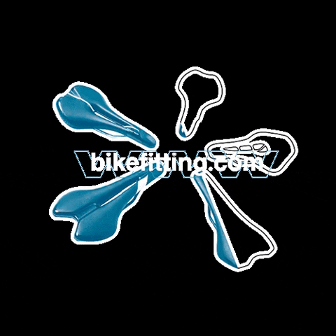 Bikefitting Saddle Fit GIF by Shimano SEA Official Account