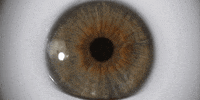 under the skin eye GIF by A24