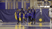 Basketball GIF by McNeese Athletics