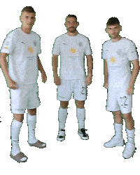 Shake It Out Dance Sticker by 1. FC Bocholt