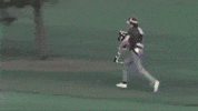Camera GIF by Red Gaskell