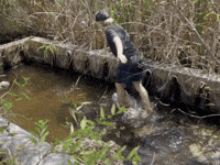 Fall Slip GIF
