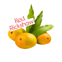 redrickshawfood mango redrickshaw mangolikethis redrickshawmangoes Sticker
