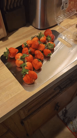 Prifezer giphyupload GIF