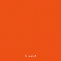 Happy Special Education GIF by Sunbelt