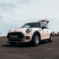 GIF by Pony Car Sharing