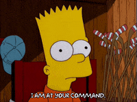 bart simpson episode 13 GIF