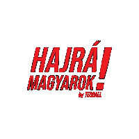 Euro Hungary Sticker by Teqball