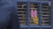 Search Toy GIF by Hollyoaks