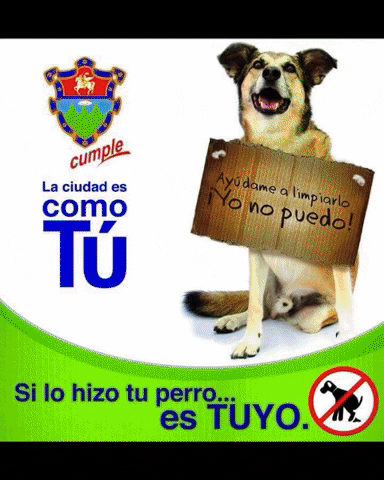 erivancamposconde giphygifmaker GIF