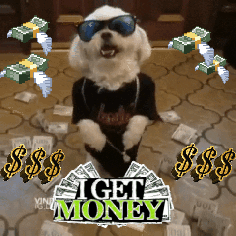 Digital art gif. A real dog wears a silver chain and sunglasses as it walks on its hind legs over cash money. Animated dollar signs and flying stacks of cash float around him. Text, "I get money"