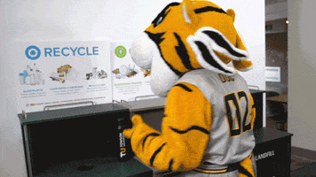 Fun College GIF by Towson University