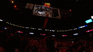 Miami Heat GIF by NBA