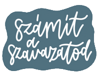 Momentum Szavazas Sticker