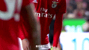 sl benfica clap GIF by Sport Lisboa e Benfica