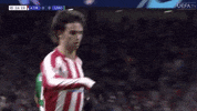 Champions League Football GIF by UEFA