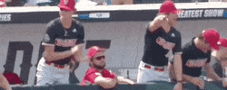 Nc State Baseball GIF by NCAA Championships