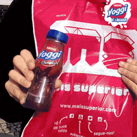 yoggi GIF