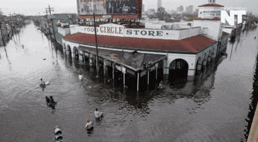 new orleans news GIF by NowThis 