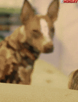 GIF by FirstAndMonday