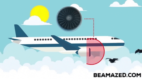 Momotaj giphygifmaker airplane bird strike GIF