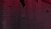 Genshin GIF