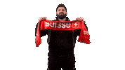 Switzerland Suisse Sticker by Swiss Football Association