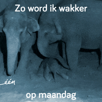 GIF by vrt