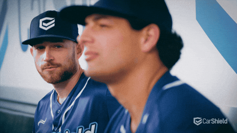 Baseball Watching GIF by CarShield