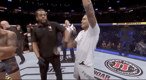 GIF by UFC