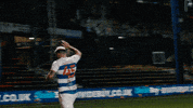 Celebrate Queens Park Rangers GIF by QPR FC