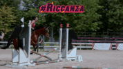 mtv GIF by MTV-Italia
