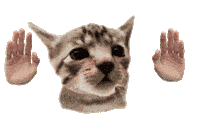 Dancing Cat Sticker
