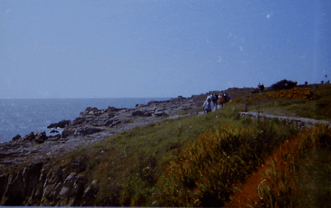 dominiklange34ca giphyupload GIF