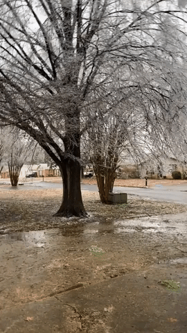 Tennessee 'River Man' Narrates Icy Memphis Weather During Winter Storm