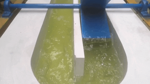 geetanjaliyadav giphygifmaker microalgae raceway pond GIF