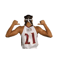 ElonPhoenixAthletics elon phoenix elonphoenix elon basketball elonbasketball Sticker