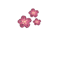 Pink Flower Sticker