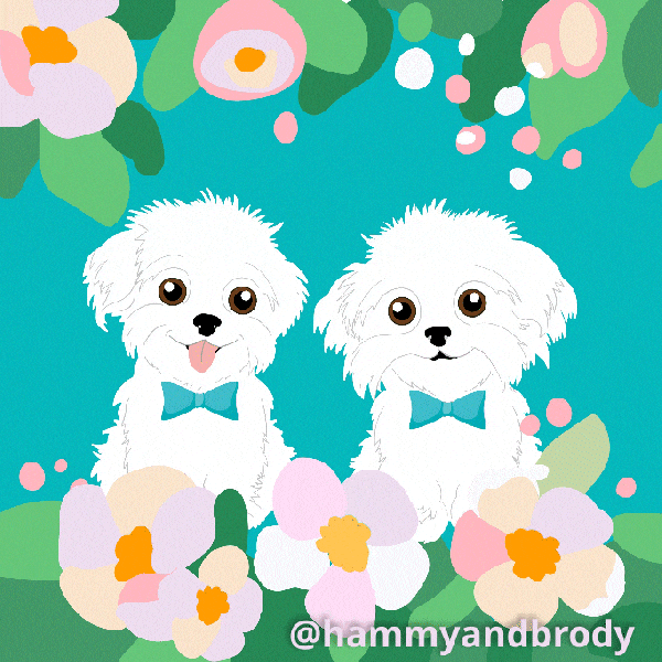 All The Love Dog GIF by HammyandBrody