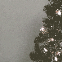 christmas lol GIF by Lance Ford